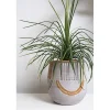 Cache-pot henri